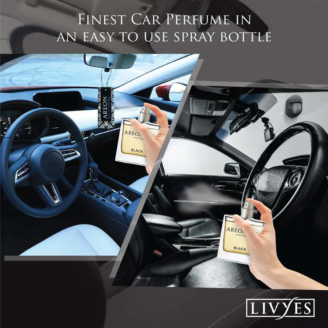 Car Air Freshener Silver AREON