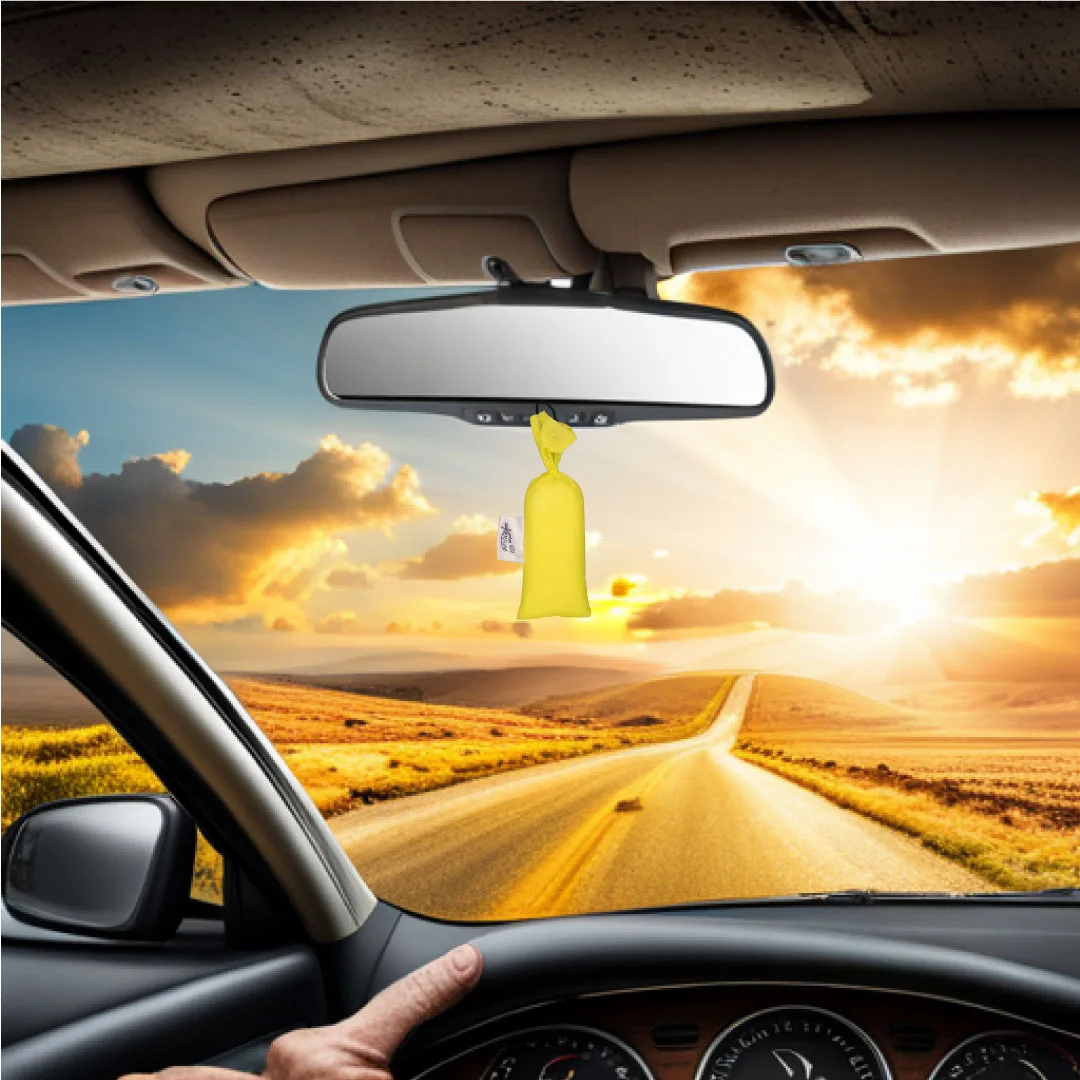 Car Perfume Hanging AirKarpure