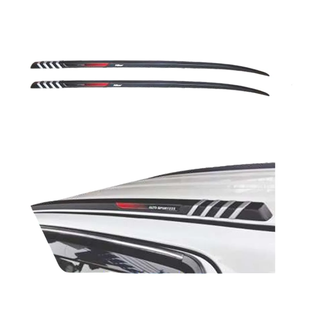 Car Roof Rail for Alto Hiker