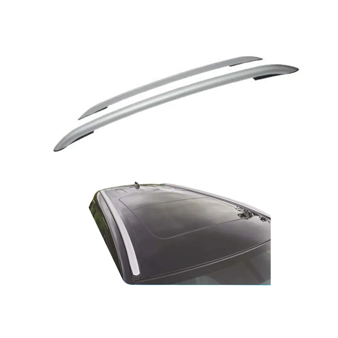 Car Roof Rail Silver Hiker