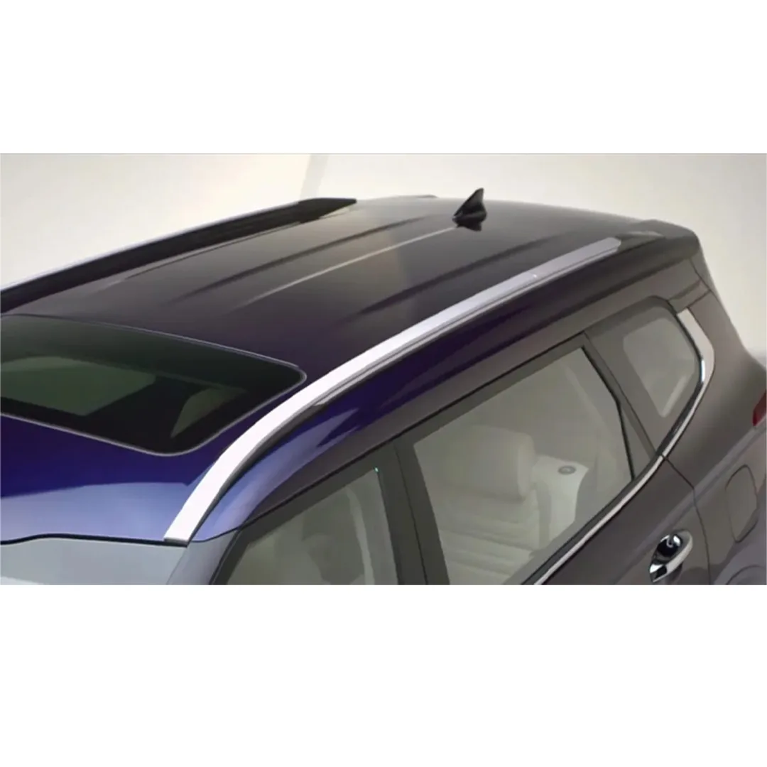 Car Roof Rail for Carens Hiker