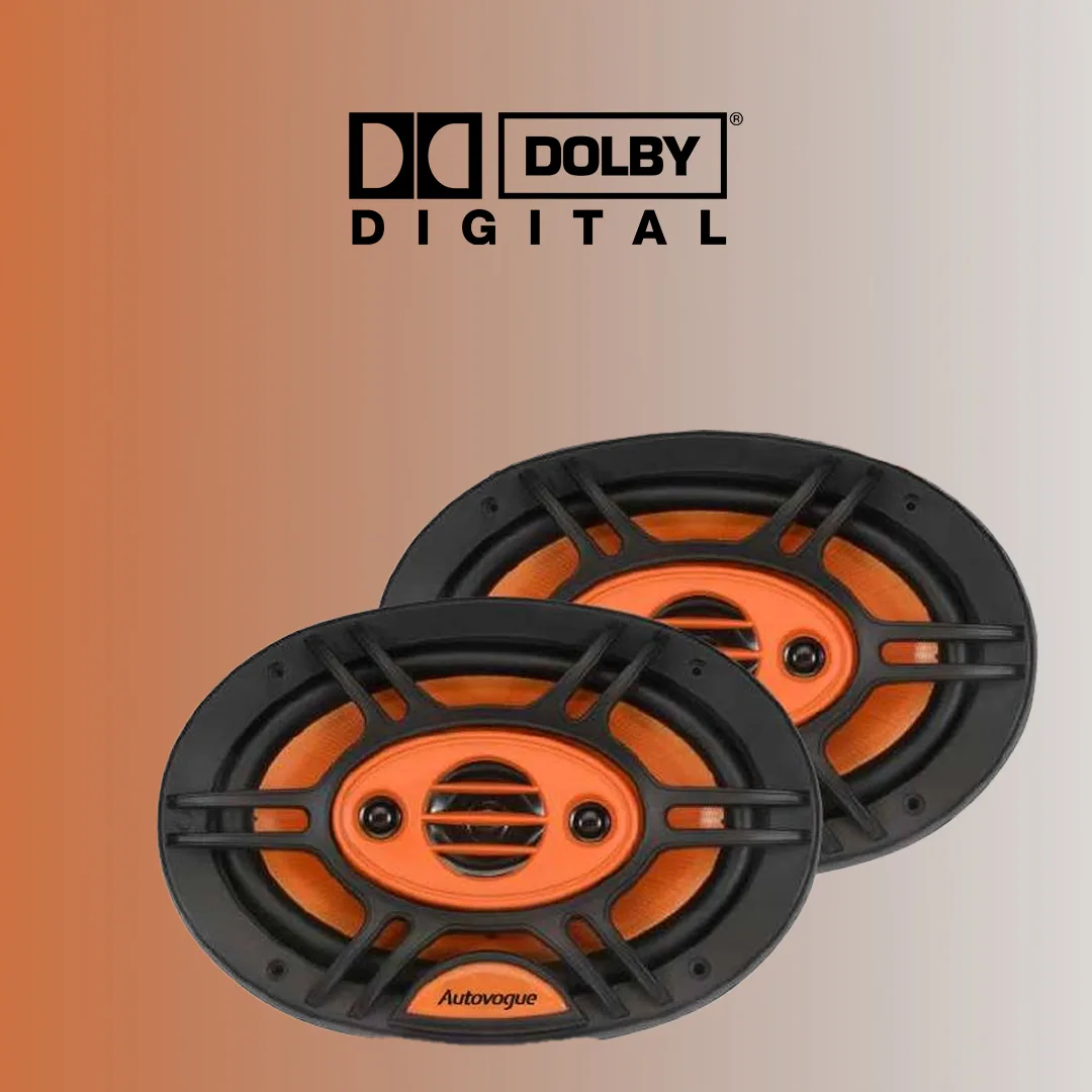 Speakers 6" 500W Autovogue