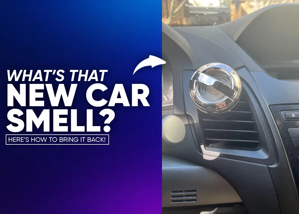 Experts Explain What Really Causes New Car Smell and How to Get It Back